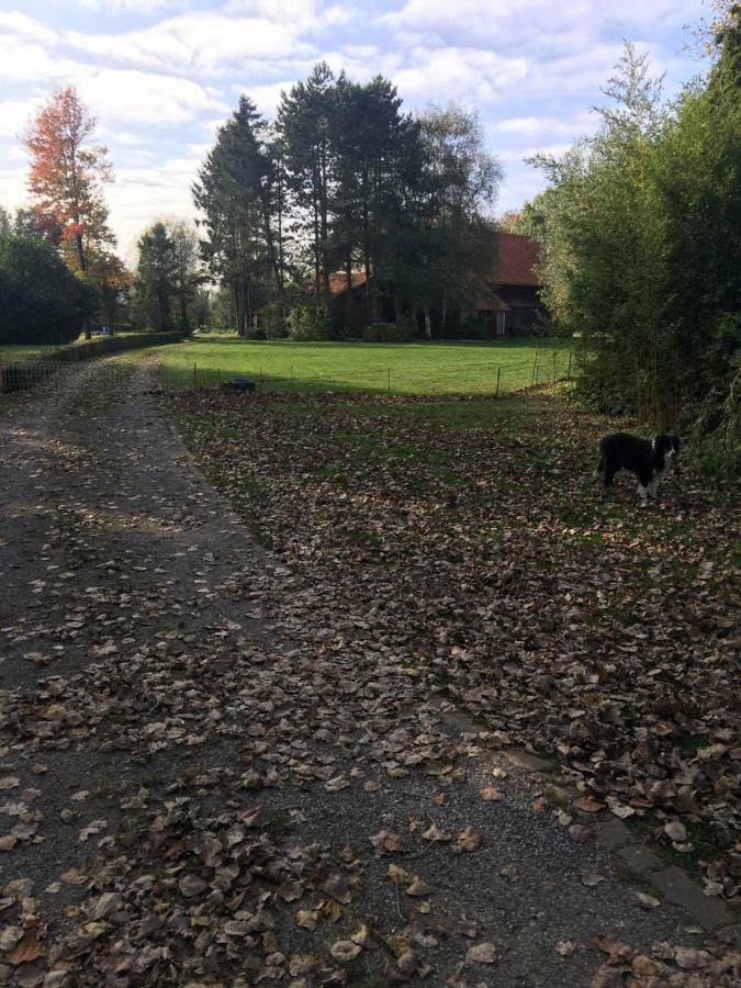 Au Coeur De La Flandre Apartamento Noordpeene Exterior foto